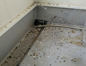 フンで汚れたベランダ/before