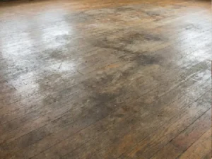 床が全体的黒い